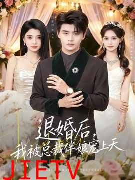 退婚后，我被总裁伴娘宠上天