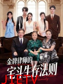 金牌律师的宅斗生存法则