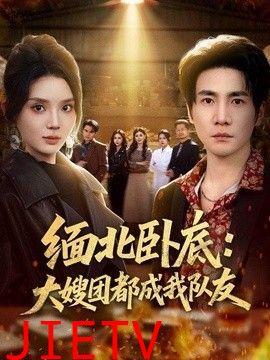 缅北卧底：大嫂团都成我队友