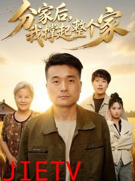 分家后我撑起整个家