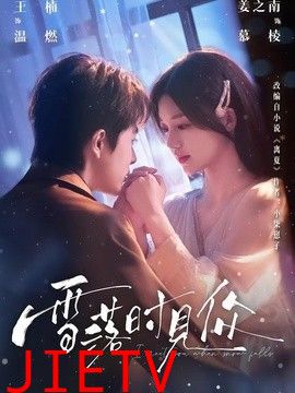 雪落时见你