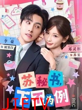 苏秘书，下不为例