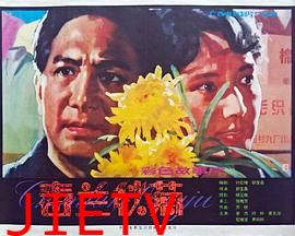 春兰秋菊