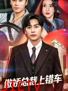 傲娇总裁上错车