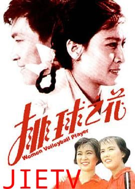 排球之花