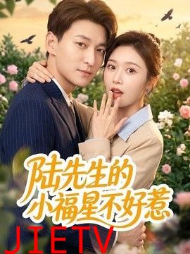 陆先生的小福星不好惹