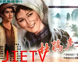 杜鹃声声