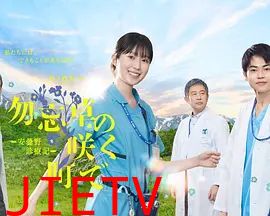 在勿忘草盛开的城镇安昙野诊疗记
