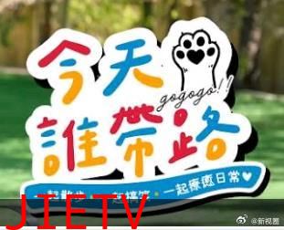 今天谁带路
