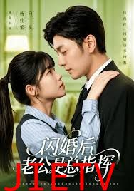 闪婚后老公是总指挥