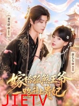 嫁给孤煞王爷一路升上贵妃
