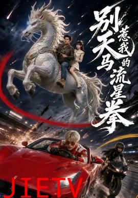 别惹我的天马流星拳