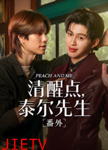 清醒点 泰尔先生番外篇