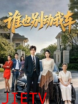 谁也别动我车