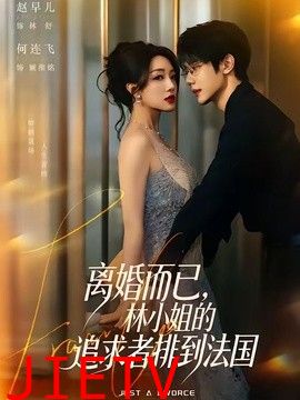 离婚而已，林小姐的追求者排到法国