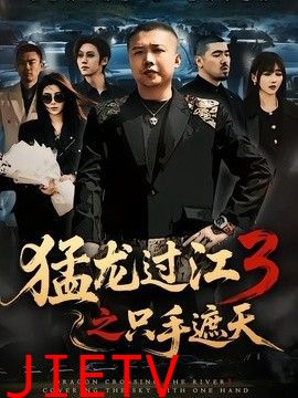 猛龙过江3之只手遮天