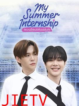 我的夏日实习