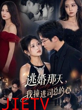 逃婚那天，我撞进司总的心