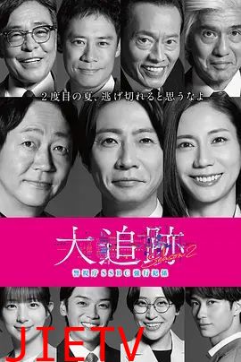 大追踪警视厅SSBC强行犯系第二季
