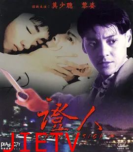 证人 (1993)