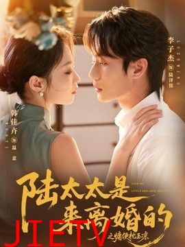 陆太太是来离婚的之慵便枕玉凉