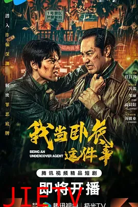 我当卧底这件事