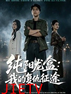 纯阳龙盒：我的复仇征途