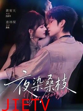 夜染桑枝