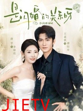 是闪婚的关系呀