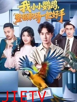 我小小鹦鹉，整顿职场一把好手