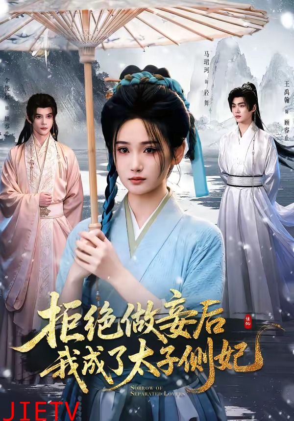 拒绝做妾后我成了太子侧妃