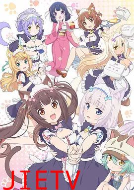 猫娘乐园