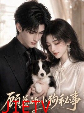 顾总的小狗秘事