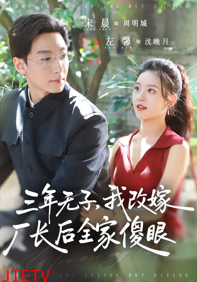 三年无子，我改嫁厂长后全家傻眼了