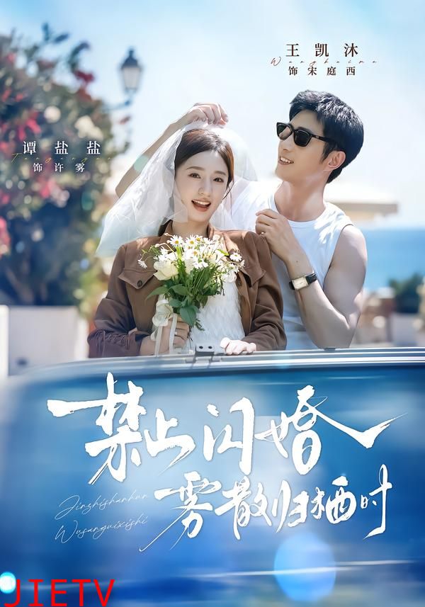禁止闪婚，雾散归栖时