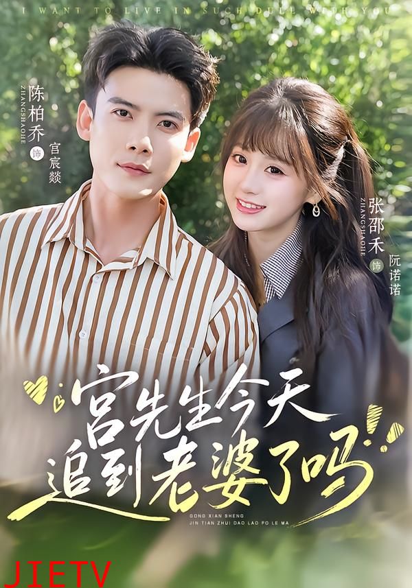 宫先生今天追到老婆了吗