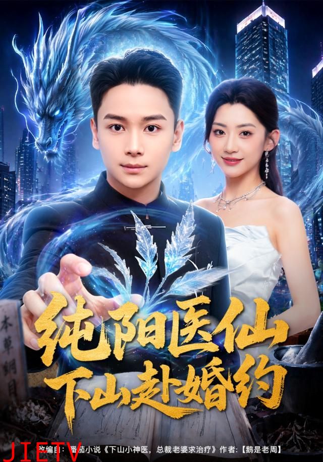 纯阳医仙下山赴婚约