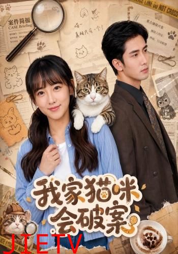 我家猫咪会破案