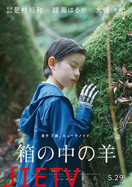 盒子里的羊