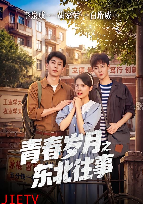 青春岁月之东北往事