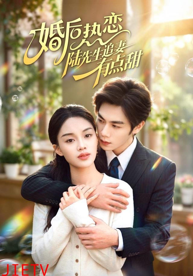 婚后热恋陆先生追妻有点甜