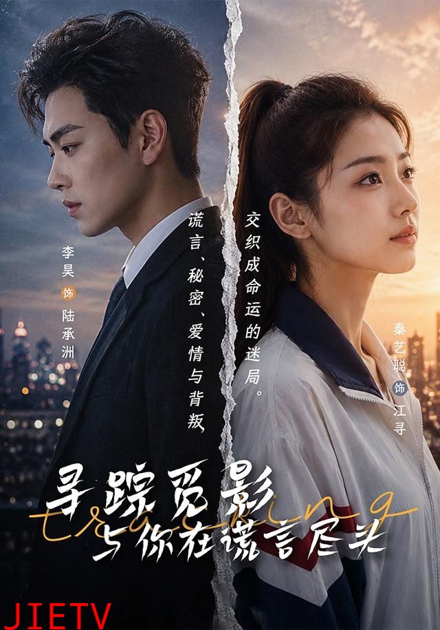 寻踪觅影：与你在谎言尽头