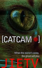 猫咪摄像头