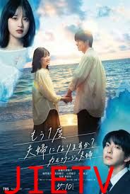 要再做一次夫妇吗？～伪装夫妇～
