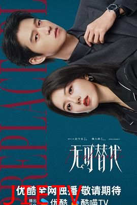 无可替代2026