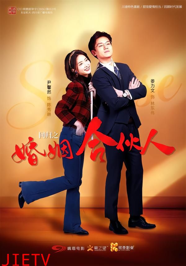 回归之婚姻合伙人