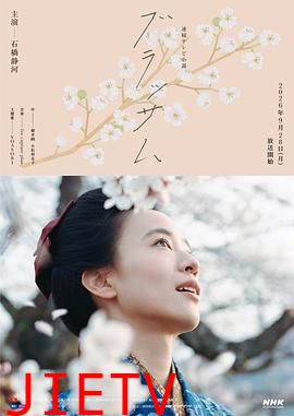 花朵盛开