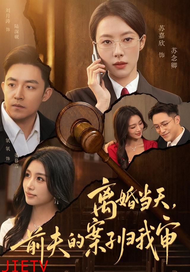 离婚当天，前夫的案子归我审