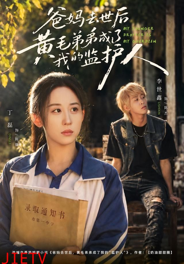 爸妈去世后黄毛弟弟成了我的监护人