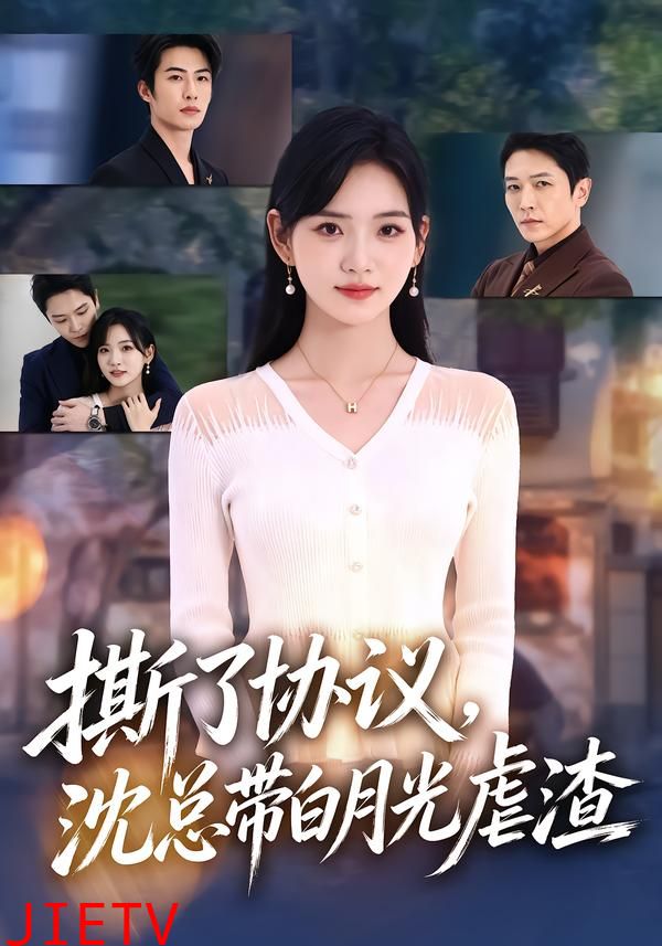 撕了协议，沈总带白月光虐渣
